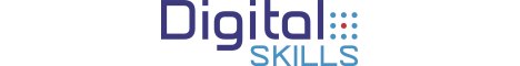 Digital Skills Ltd